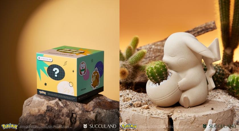 有肉寶可夢官方授權植栽系列，推出盲盒方案，為「訓練生活」注入更多驚喜樂趣，售價NT$1,572元。