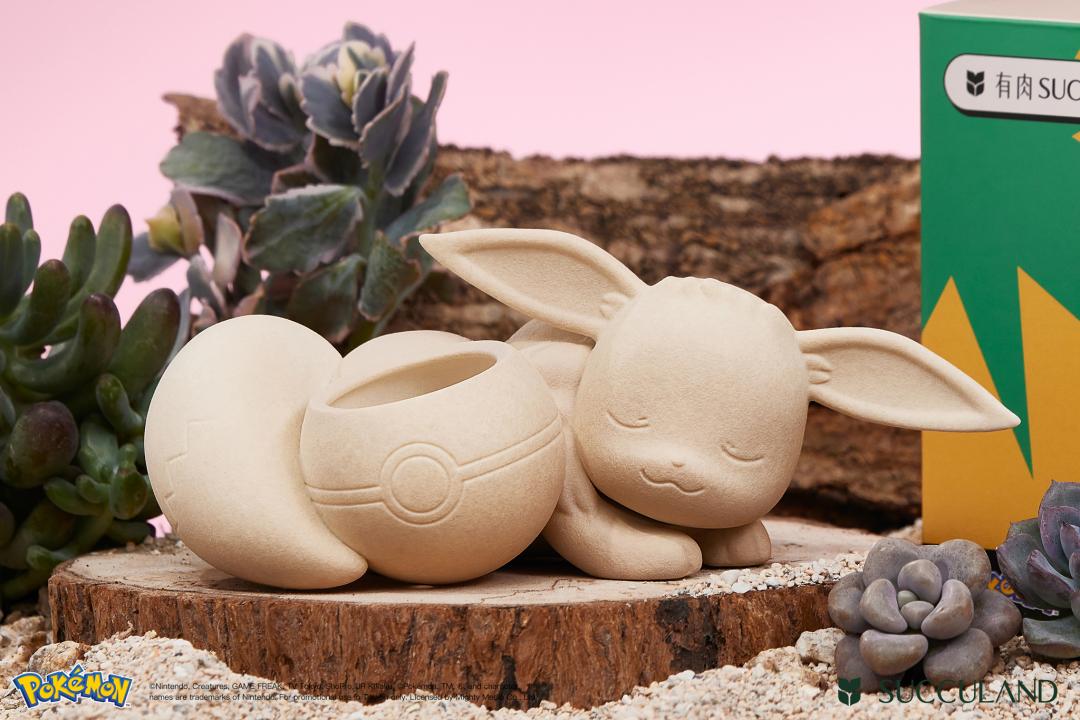 皮卡丘十萬伏特電力狂發瞄準訓練家日常！從多肉盆栽到鞋底注入療癒能量