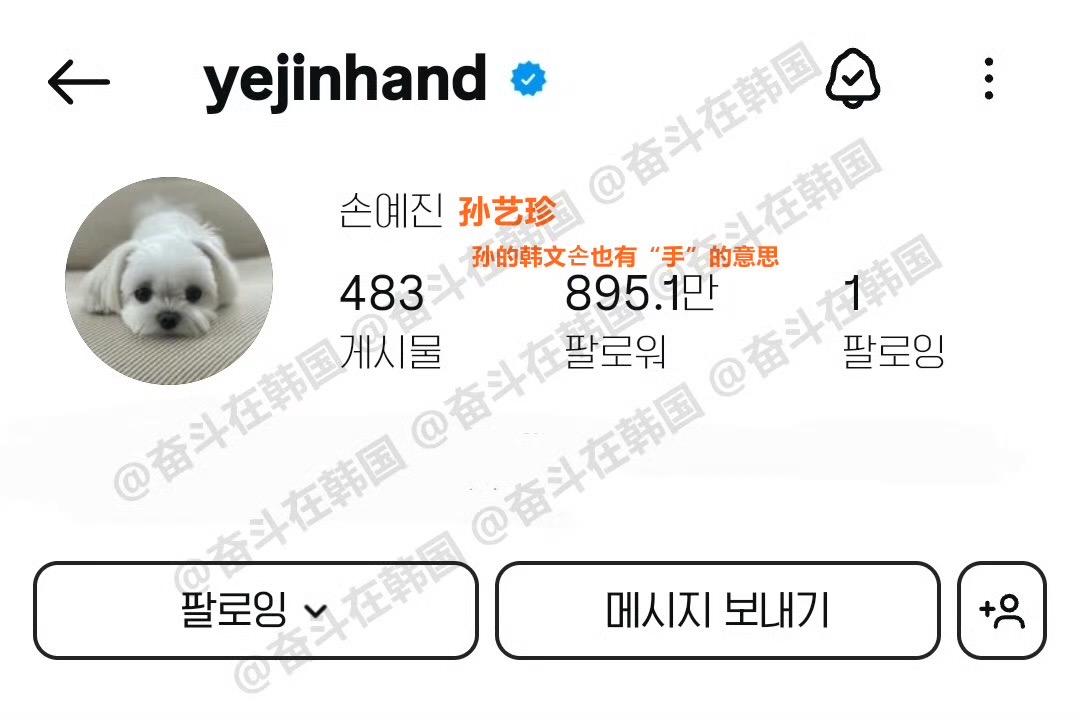 原本的帳號「yejinhand」以愛犬KITTY為頭貼。
