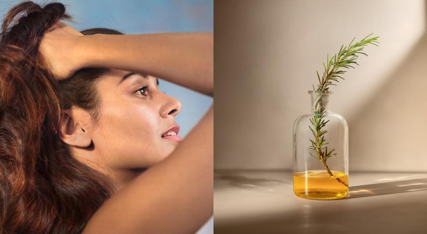 歐舒丹將熱賣的「草本強韌系列」全新升級，除了核心成分迷迭香精華油以外，還添加源米胜肽。