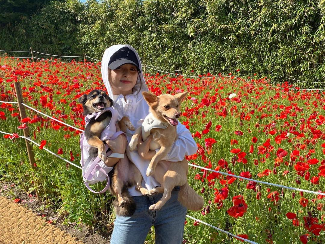 子瑜在韓國領養了KAYA和BUTTER，相當愛護牠們。