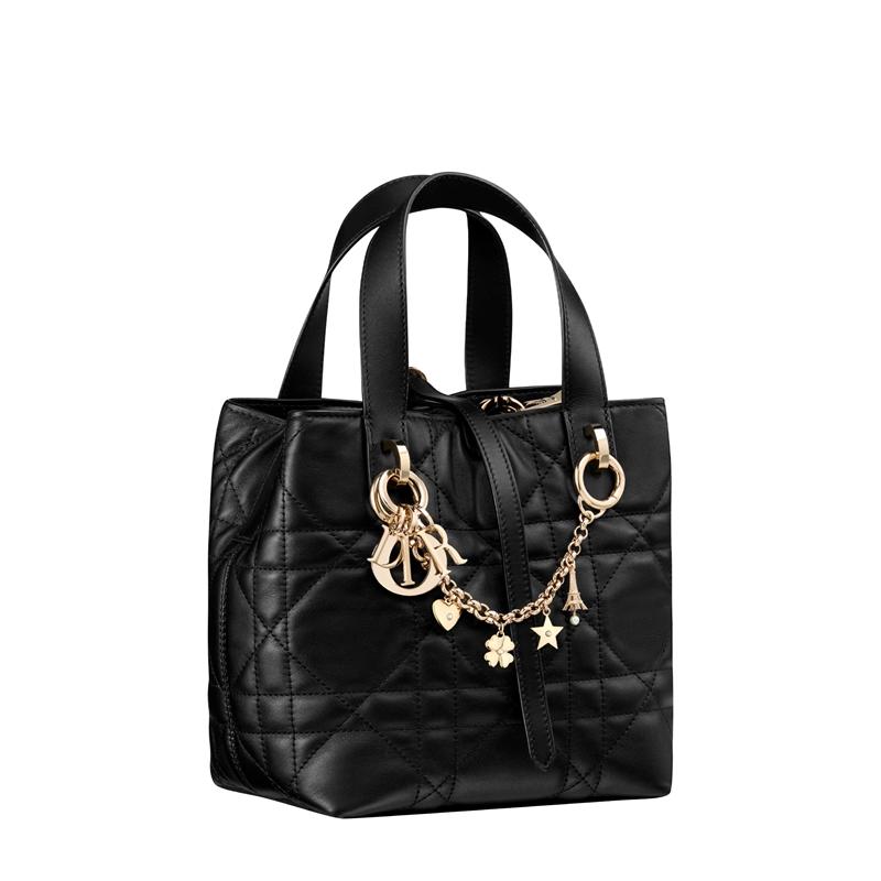 Dior Lucky膠囊系列Dior Toujours黑色皮革直立托特包_NTD130,000_M2844OSNWM900_E11（Dior提供）