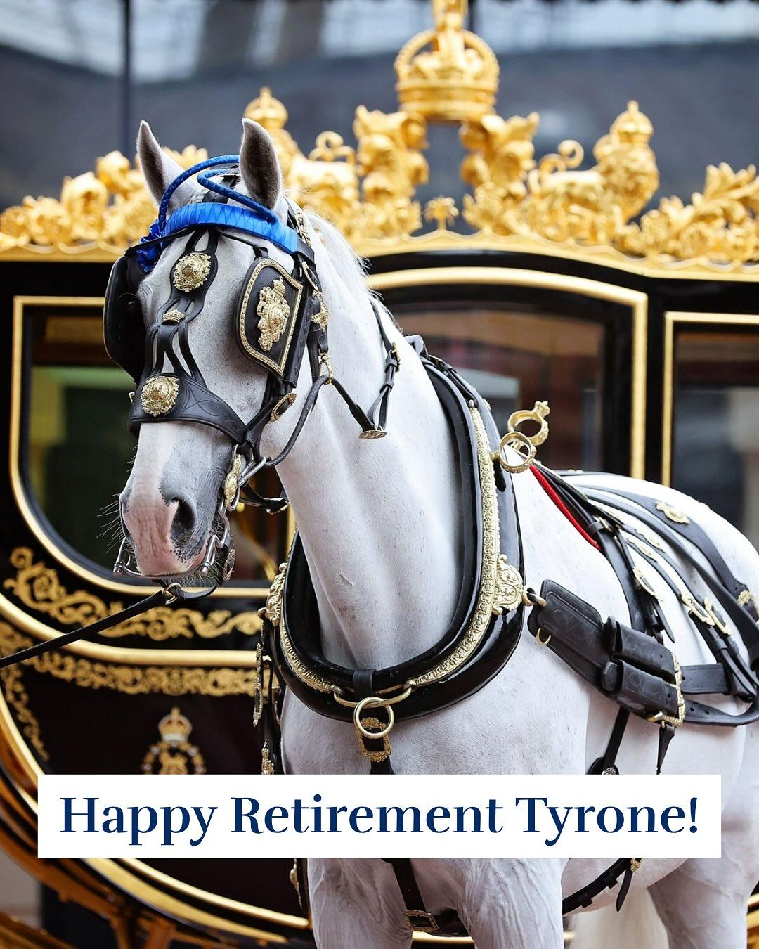 已故英國女王伊莉莎白二世生前最鍾愛的溫莎灰馬「Tyrone」正式退休了。