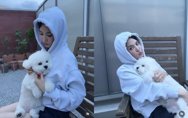 但粉絲最愛的還是宋慧喬的私照，私服加上愛犬模樣超可愛。（翻攝自instagram）
