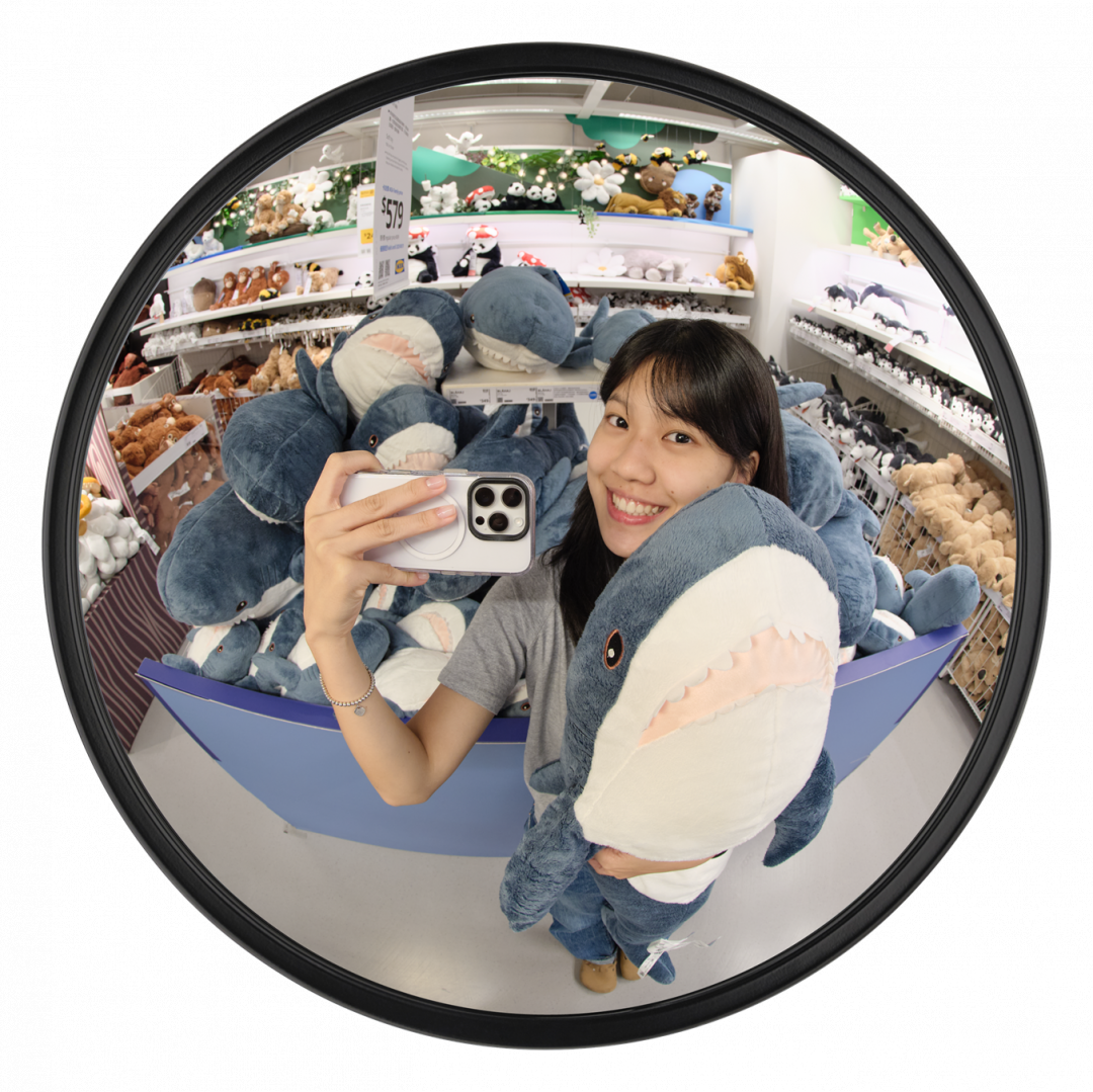 如果幸運抽中最大獎，就能一次帶回143隻鯊鯊，瞬間成為鯊鯊富翁。