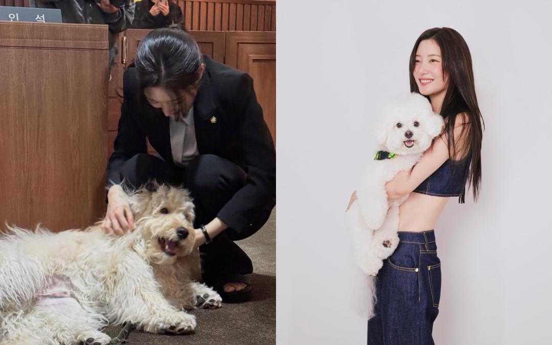 愛狗的鄭彩娟，不只拍時尚大片熊抱狗狗，在片場也把握時間跟狗狗玩耍。
