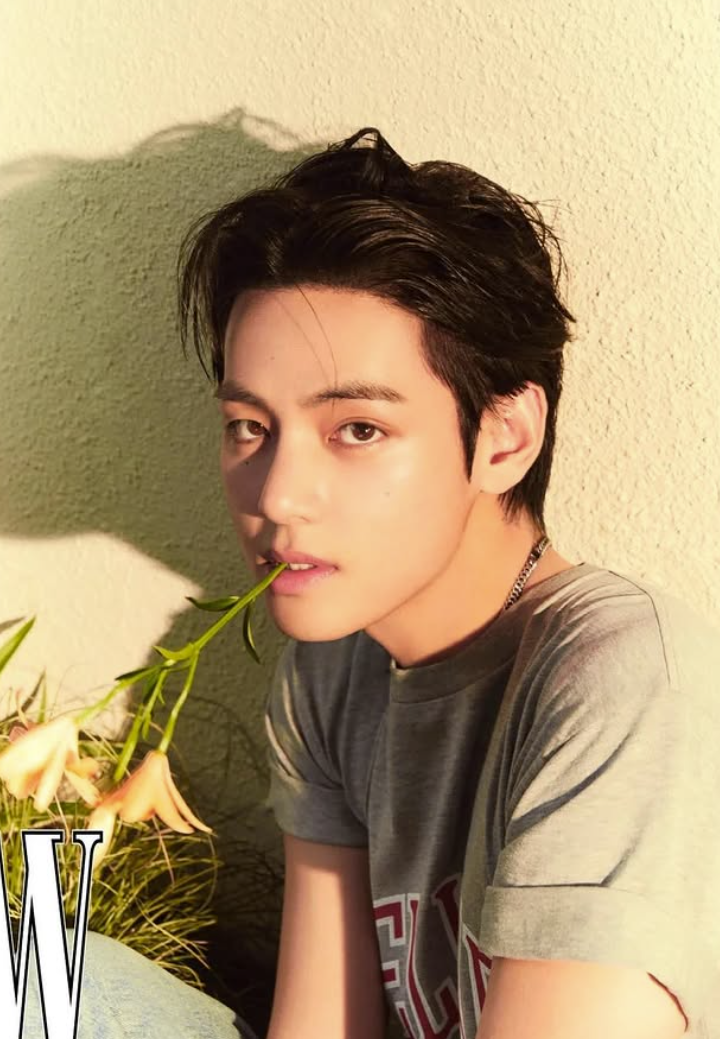 V。