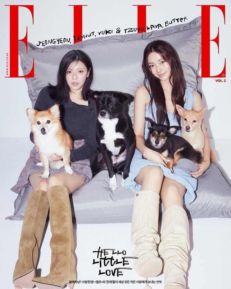 定延和子瑜帶著愛犬們一起拍攝雜誌。