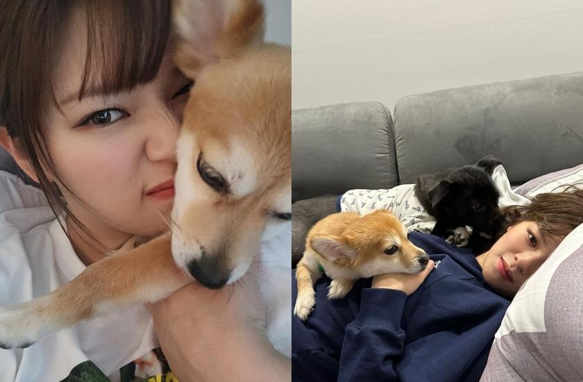 定延相當寵愛Peanut、Yuki。