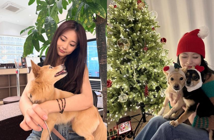 子瑜的Kaya和Butter經常入鏡她的社群。