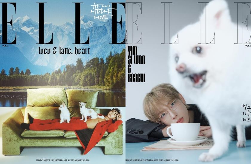 由拍攝角度也可看出各位主子在家中的地位。