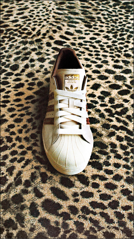 WB Superstar為聯名系列唯一中性鞋履，備齊男女鞋尺寸，8,200元。（adidas Originals提供）