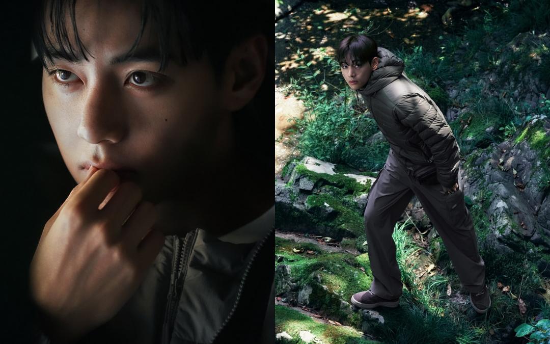 玄彬奶爸牌失靈?BTS V退伍後火力全開 半年連搶兩代言成業績救星