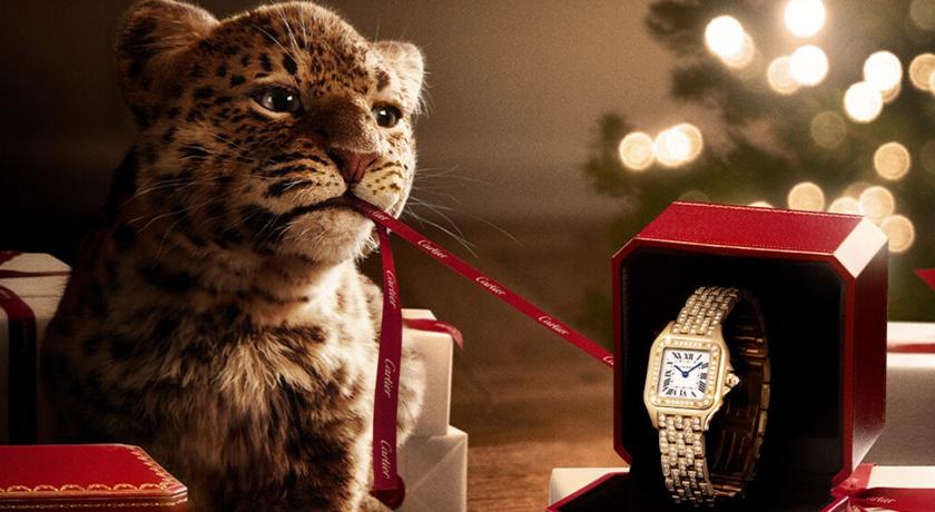 卡地亞官方LINE限時推8款貼圖!Q版美洲豹萌翻天 免費下載還送限量驚喜