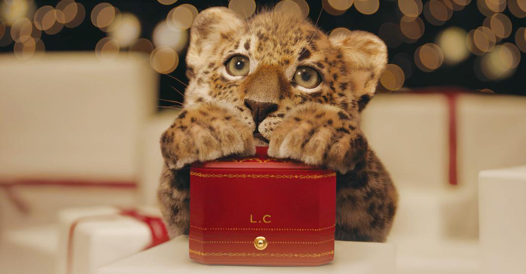 卡地亞耶誕廣告以美洲豹為主角。(卡地亞提供)