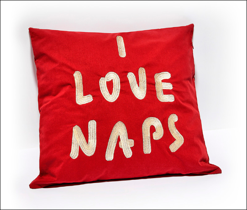 勃根地酒紅標語刺繡抱枕，2,890元。