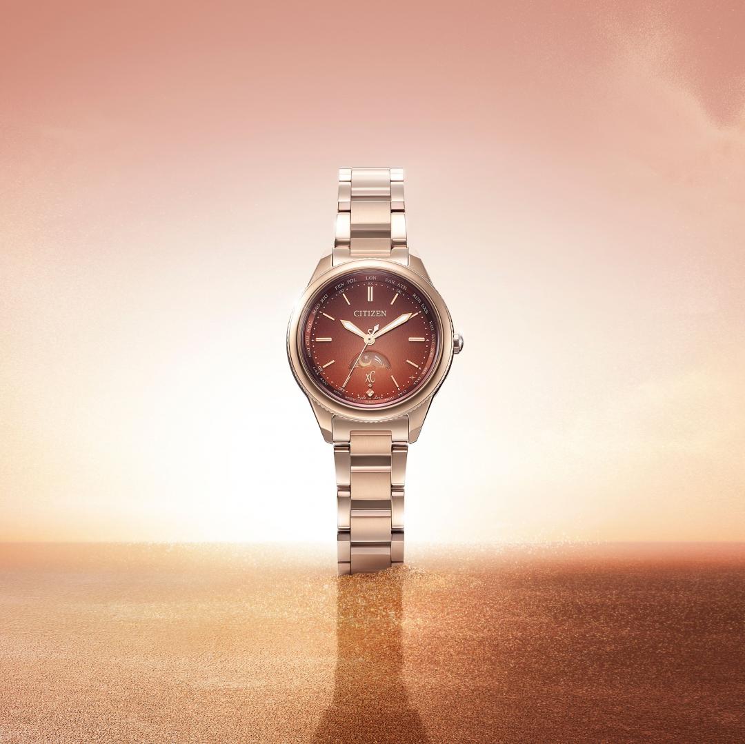 EE1004-73W錶款，33,900 元。