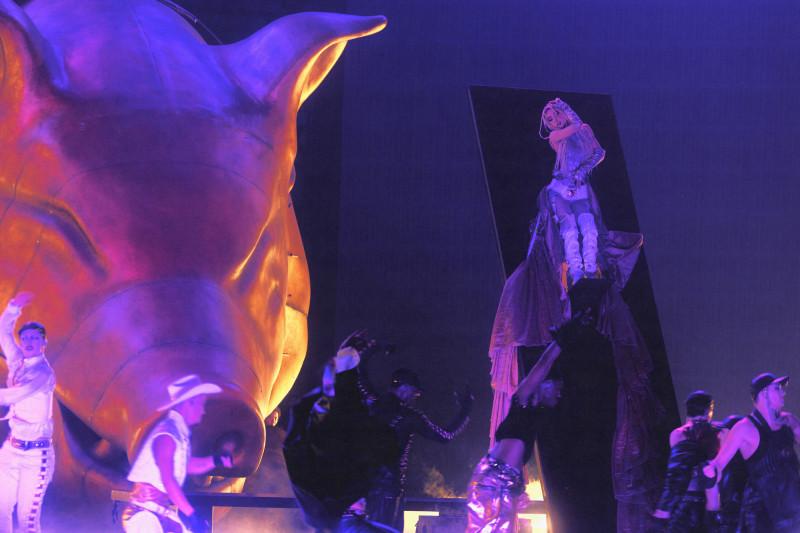 第二篇章中的「貪婪金豬」，讓這場演唱會動物陣容再＋1。