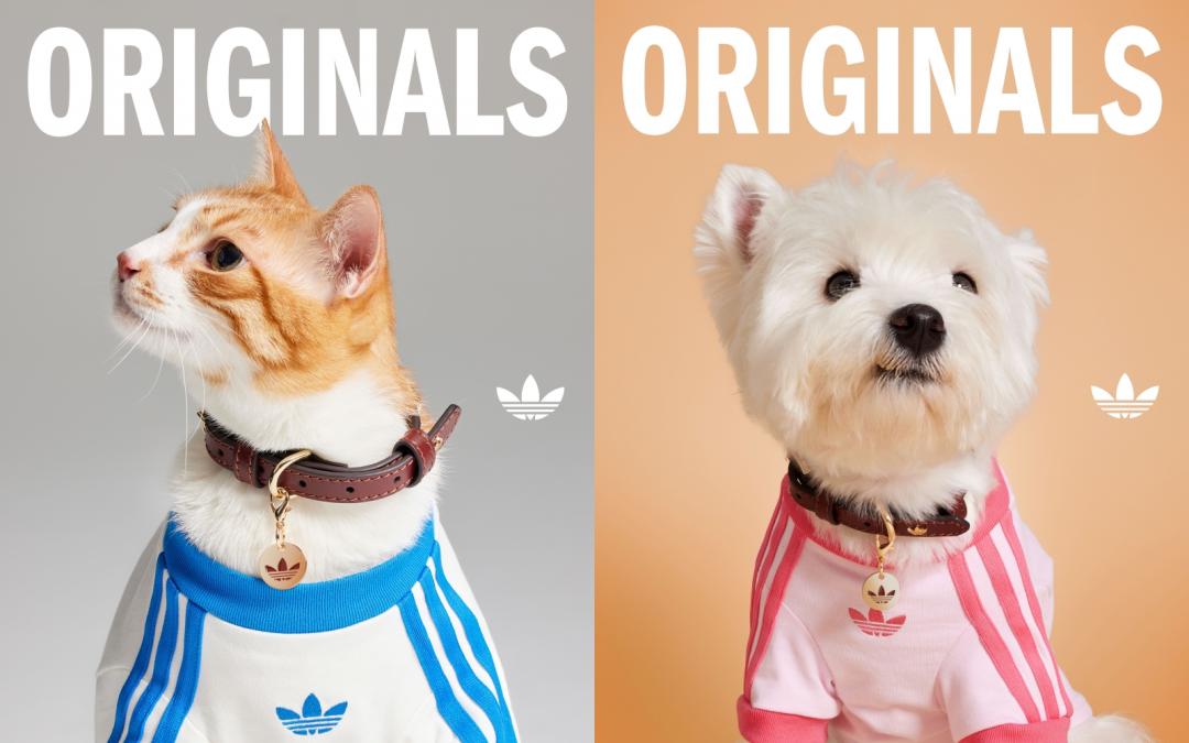 寵物款三條線T恤，售價NT$1,090元。