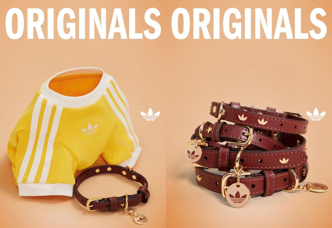 千元入手毛小孩潮衣！adidas Originals寵物系列 「盤釦」勾勒春節應景新中式風格