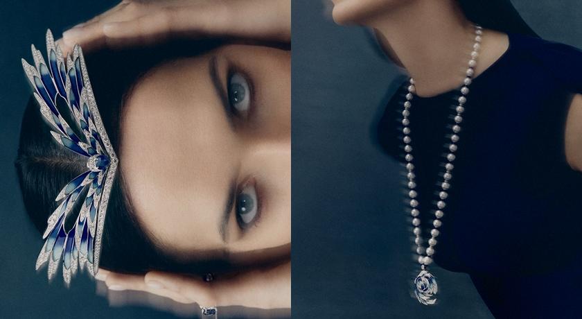 細品羽翼成詩！Chaumet Envol頂級珠寶跨越兩世紀飛翔想像
