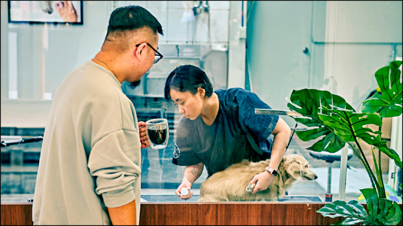 HAHA HOUSE中和積穗店採一站式服務，同時提供飼主和寵物放鬆的空間。