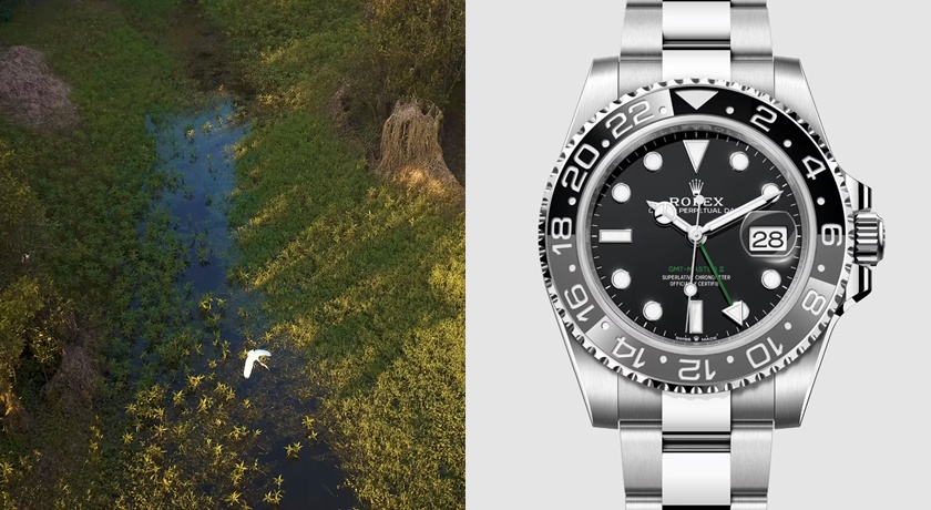 種了5千萬棵樹還守護亞馬遜雨林！勞力士大獎50年成果驚人 今年得主全是女性