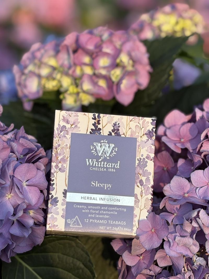品牌經典「舒眠晚安茶」以嶄新姿態登場，溫潤的草本配方是春夜助眠的絕佳選擇。（Whittard Taiwan提供）