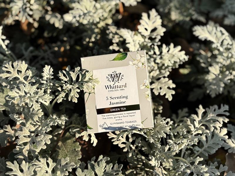 台灣限定推出的「五窨茉莉綠茶」，主打傳統工法製作，讓茉莉花香與綠茶香氣融合得恰到好處，是這次跨國合作的亮點之一。（Whittard Taiwan提供）
