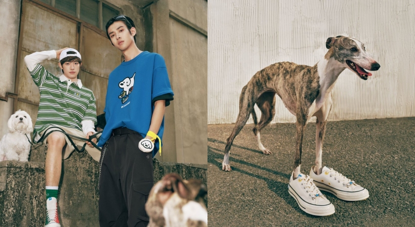 CONVERSE聯手MATSUI推萌寵聯名！撞色帆布鞋藏插畫可愛爆擊