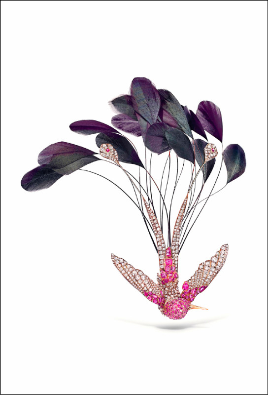 Hummingbird Aigrette蜂鳥羽飾冠冕，不僅是頭飾亦可轉換成胸針。現場展出，非賣品。（©CHAUMET- Pauline Guyon）