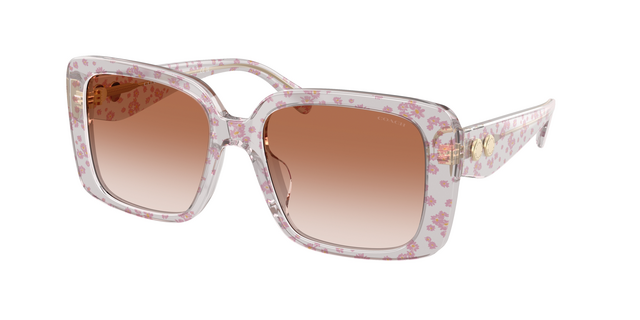 COACH SIGNATURE C，6,450元。