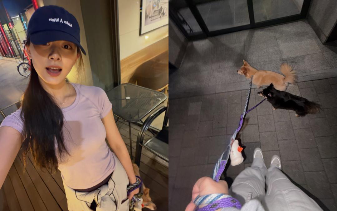 子瑜帶著愛犬外出時，以素顏造型上街，毫無明星包袱。