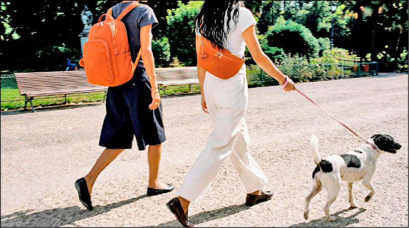 Kipling 2026秋冬推出百搭的暖駝棕新色，結合各式經典抓縐尼龍包款，打造各種實用之選。（圖左）SEOUL LAP機能手提後背包，5,080元；（圖右）MACI機能腰包，2,580元。