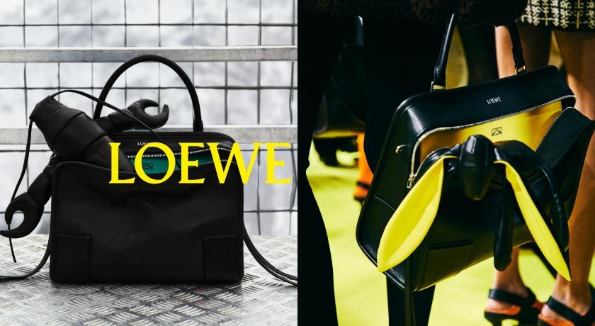 LOEWE秋冬系列以動物元素爆發萌力。
