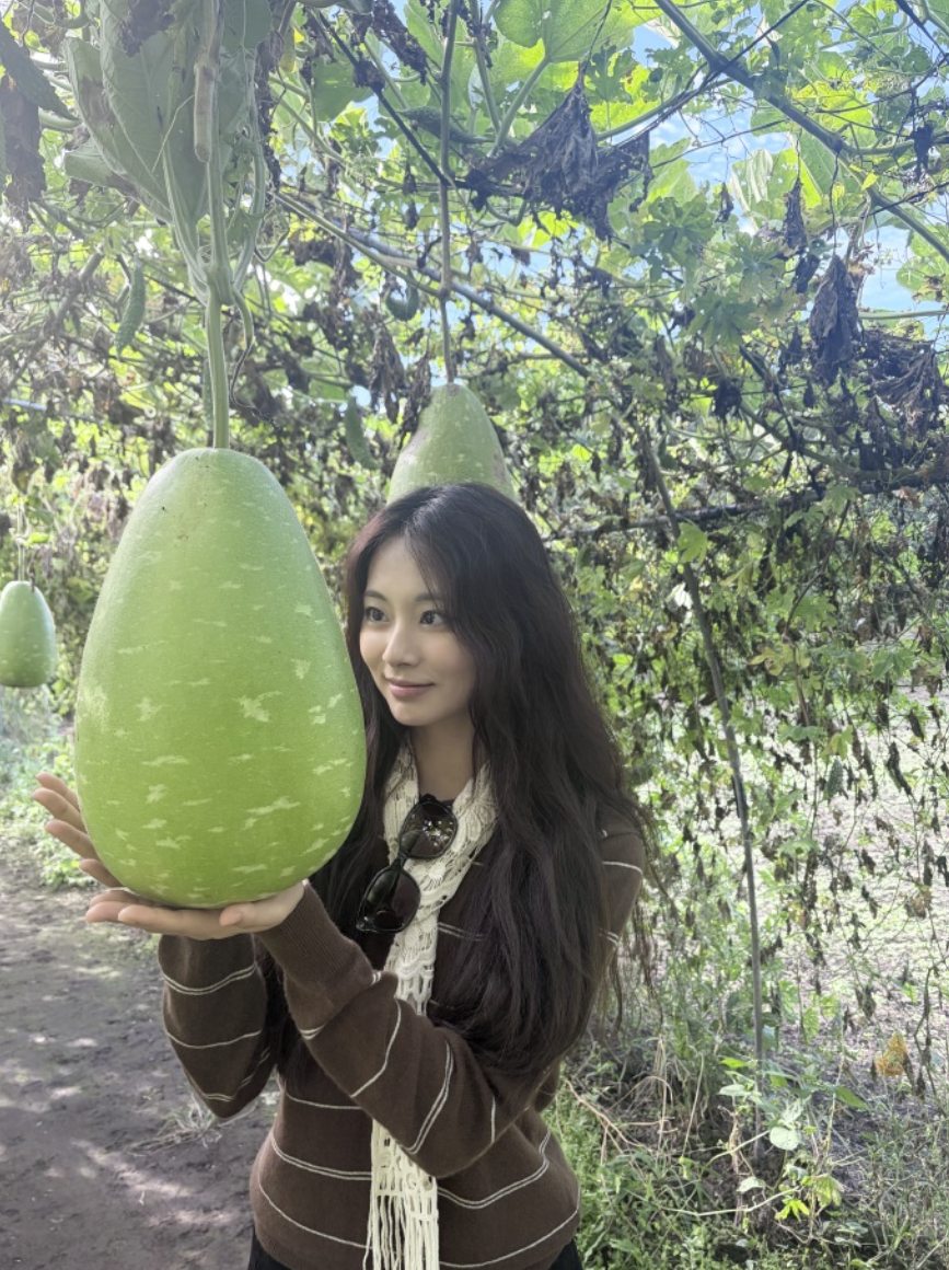 子瑜巡視農園的照片超搞笑。(翻攝自Weibo)