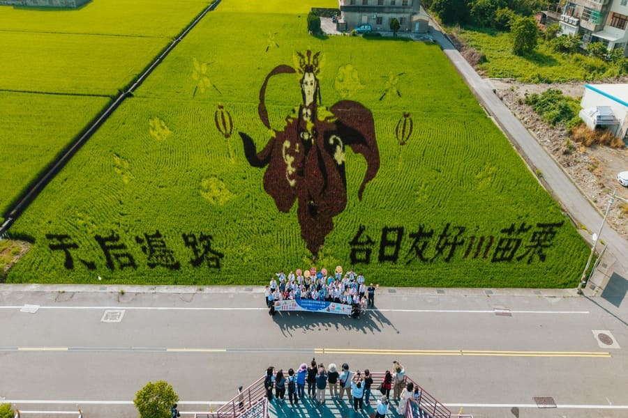 台日觀光論壇苗栗登場 彩繪稻田驚艷