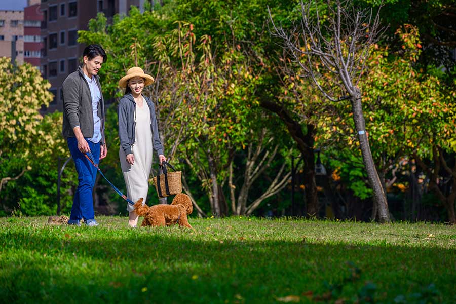 50歲後 人生最後一次買房