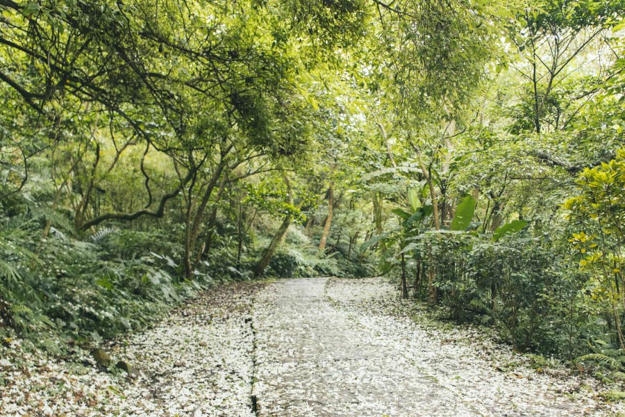看見土城真本事 與自然交往