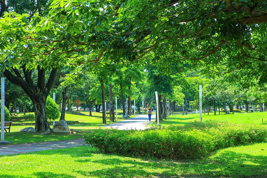 面對5.1萬坪右昌森林公園  高質感綠景輕豪宅現身