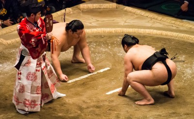 東瀛觀察》日本的相撲新希望－遠藤聖大
