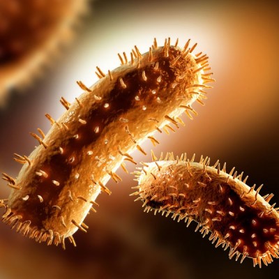 恐懼鳥》那些伊拉克戰爭的都市傳聞－末日病毒J376 ? （下）