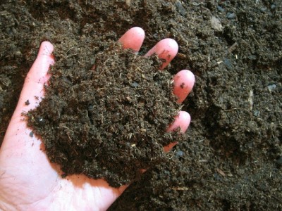 科技農報》跟化肥說Bye Bye~ 微生物讓堆肥更營養的秘密！