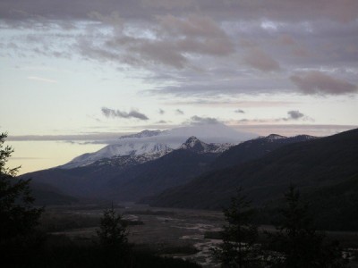 神楽坂週記》聖海倫山腳下的頑固老人，與他的16隻貓