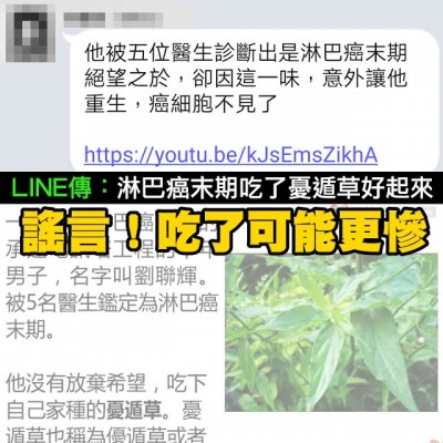 MyGoPen》【假養生】憂遁草治好淋巴癌末期的癌症謠言文章影片，吃了可能讓身體更虛弱