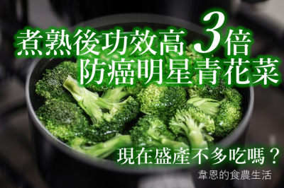 韋恩的食農生活》煮熟後功效高3倍，防癌明星青花菜，現在盛產不多吃嗎？