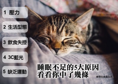 韋恩的食農生活》睡眠不足的5大原因！