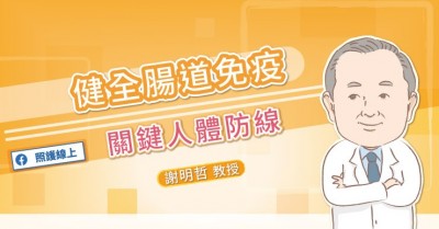 照護線上》健全腸道免疫，關鍵人體防線