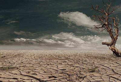 德瑞克說碳金融》第三十五講：全球性的百年大乾旱！