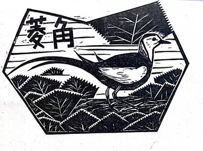 漫遊藝術史》刻畫「鳥」的專家—觀看何華仁刀下的台灣鳥類